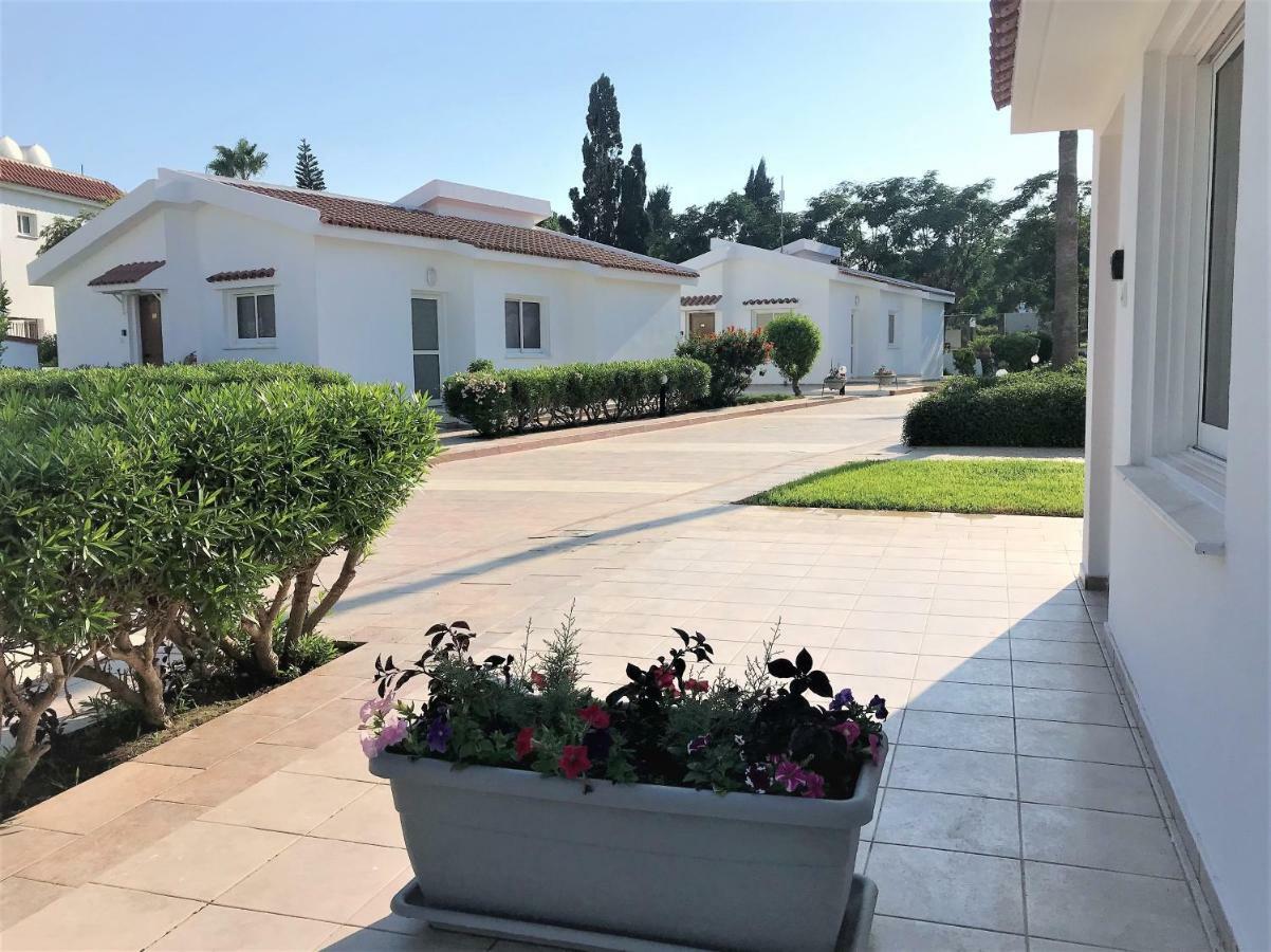 Fig Tree Z Holiday Resort Paralimni Esterno foto